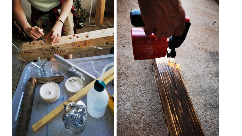 VDIHNI OGLJIK - PROSTE CELICE 2021 - INOVIRANJE V POLJU MED UMETNOSTJO IN ZNANOSTJO