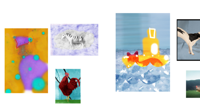 Bojan Mijatović: Animals and Friends / Živali in prijatelji