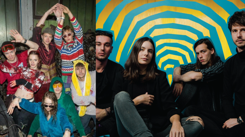 Špil ligni in Koala Voice