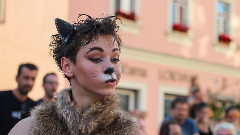 Plesni klub Šinšin: Mladi mucki na smetišču M.I.J.A.V. / v mestu