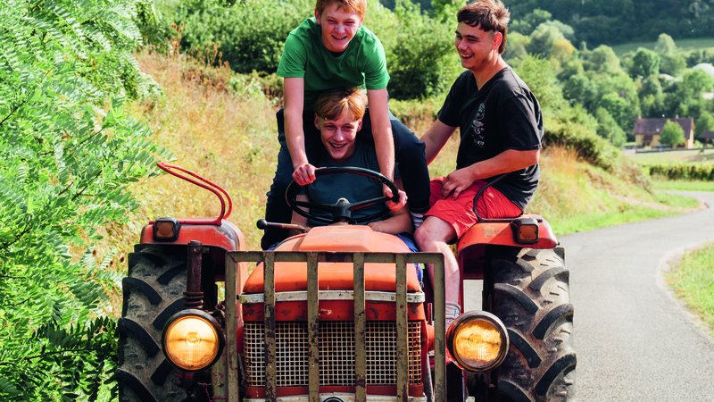 Kino Kamfest: Sveta krava!