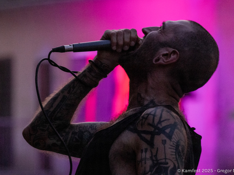 23135_gregornovak-d06-010.jpg
